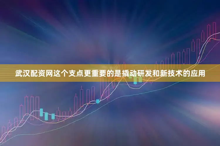 武汉配资网这个支点更重要的是撬动研发和新技术的应用