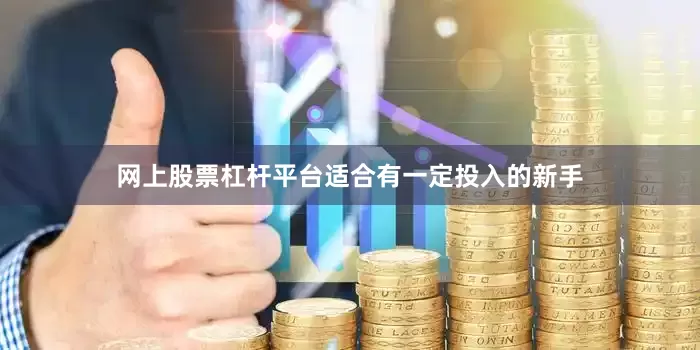 网上股票杠杆平台适合有一定投入的新手